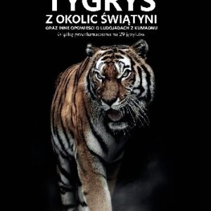 K. TYGRYS Z OKOLIC ŚWIĄTYNI