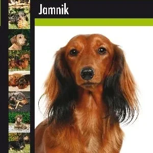 K.JAMNIK