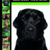labrador-retriever-rea-zbiorowa-praca K.LABRADOR-RETRIEWER-PORADNIK