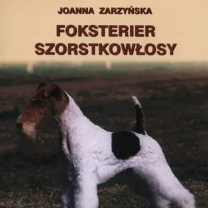 K.FOKSTERIER SZORSTKOWŁOSY