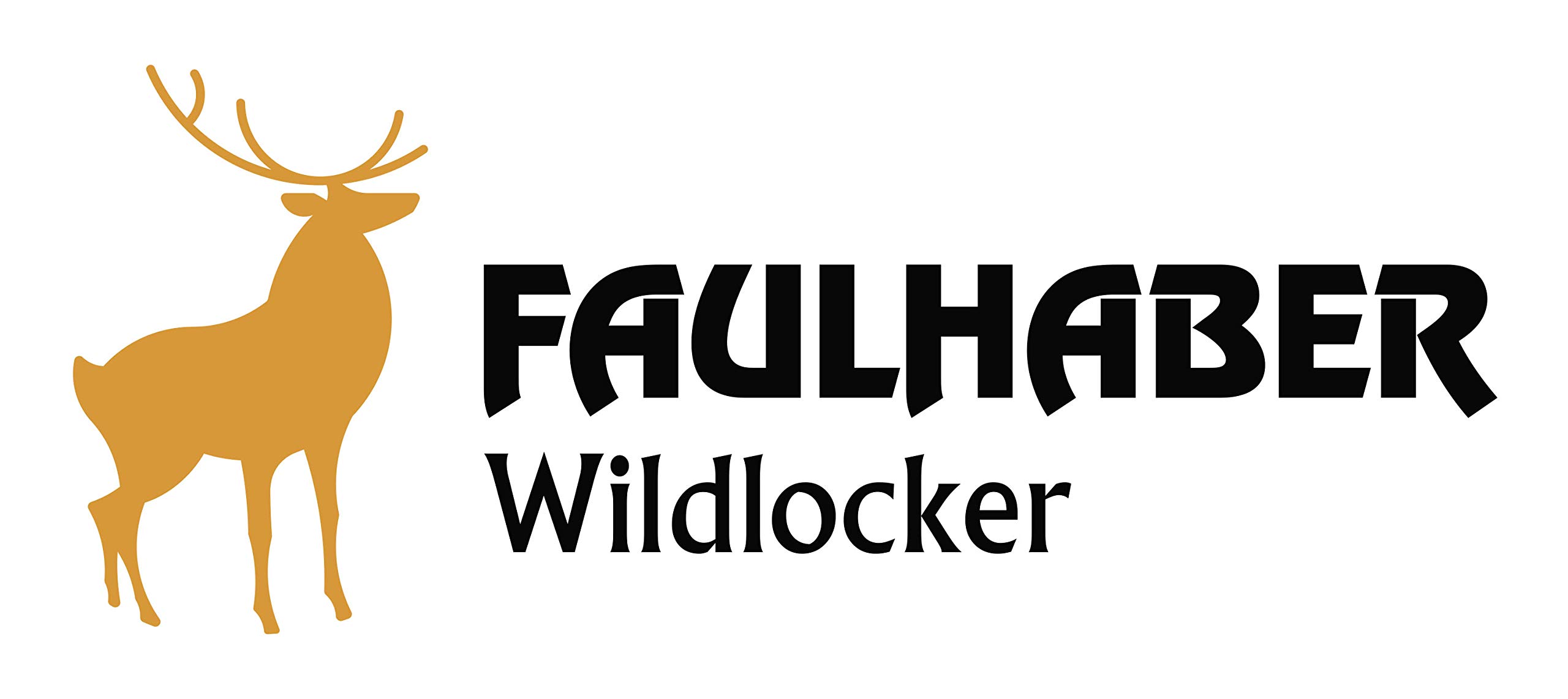 FAULHABER